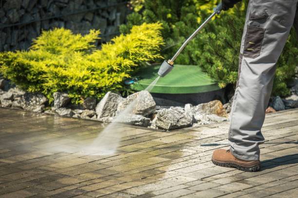 Best Window and Screen Pressure Cleaning in Moreauville, LA
